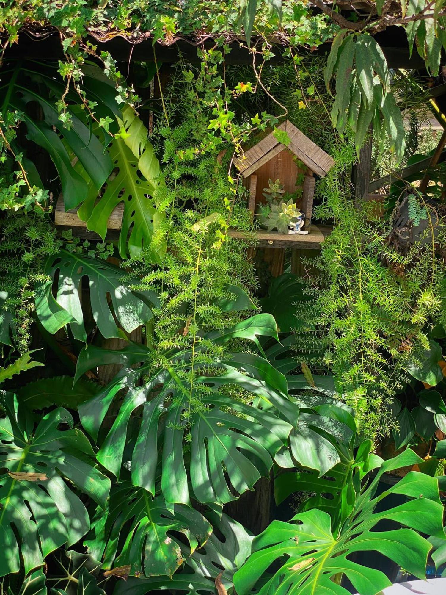 Dalat Memories Homestay - Pho Suong Mo 달랏 외부 사진
