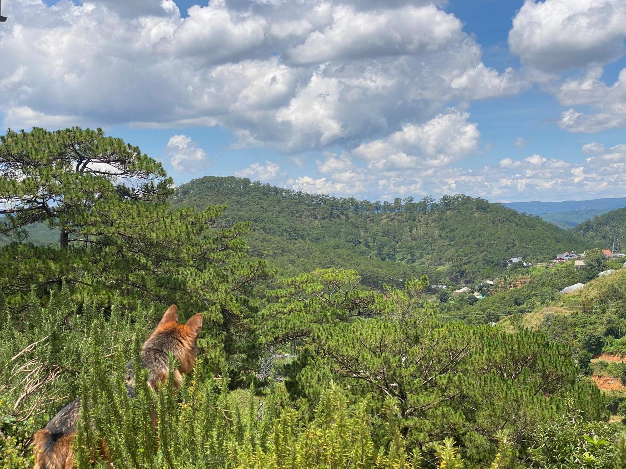 Dalat Memories Homestay - Pho Suong Mo 달랏 외부 사진