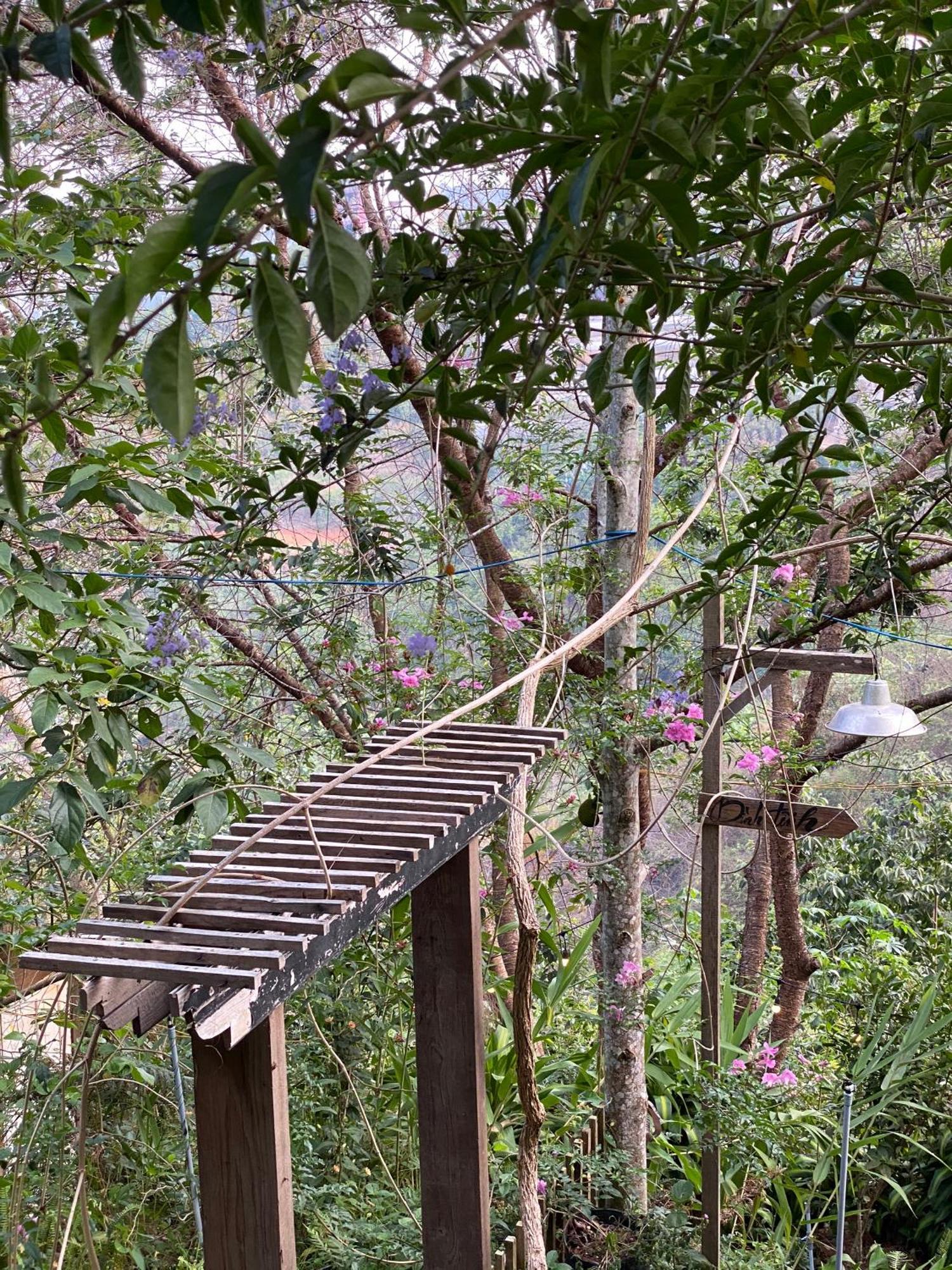 Dalat Memories Homestay - Pho Suong Mo 달랏 외부 사진
