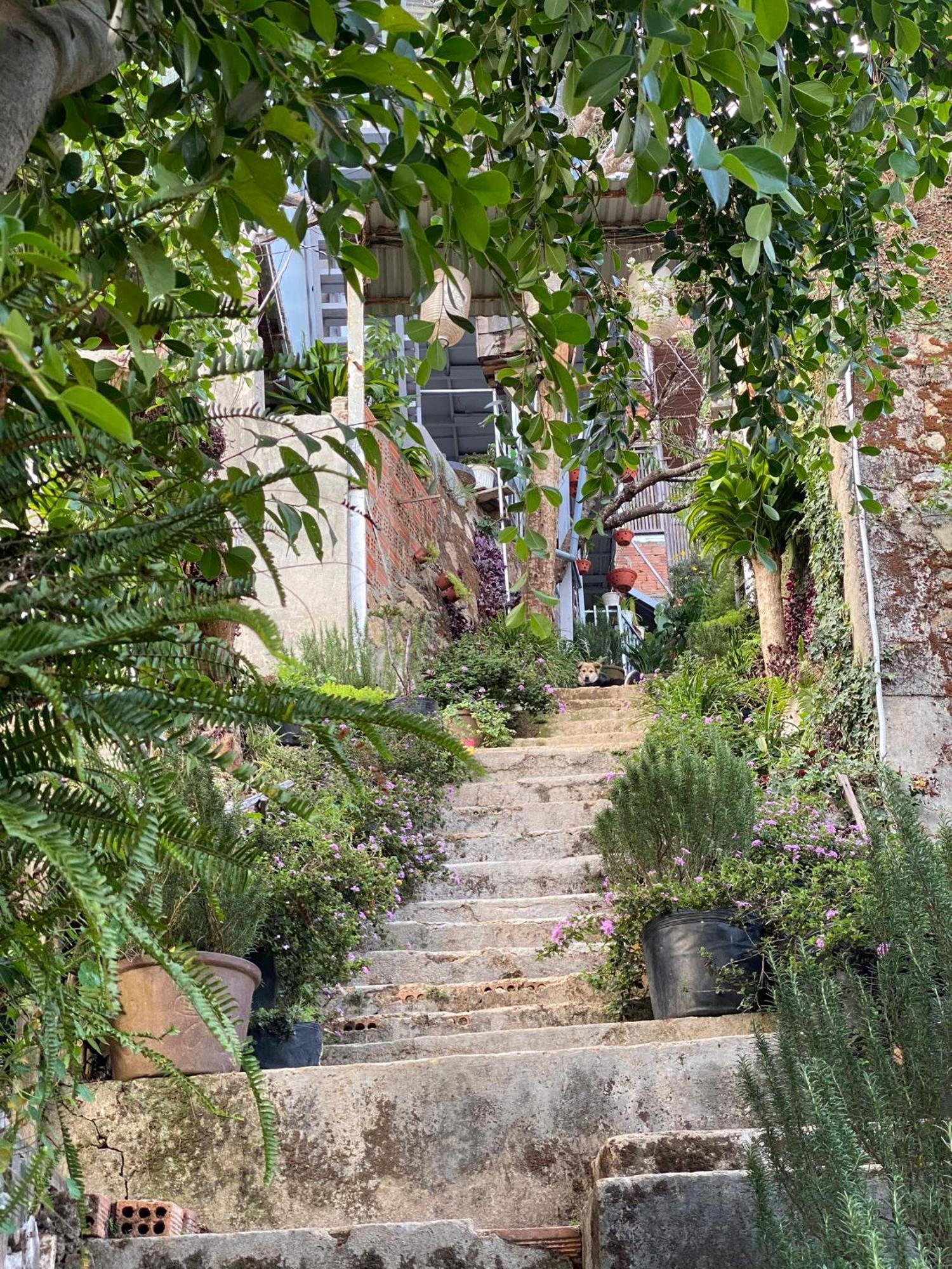 Dalat Memories Homestay - Pho Suong Mo 달랏 외부 사진