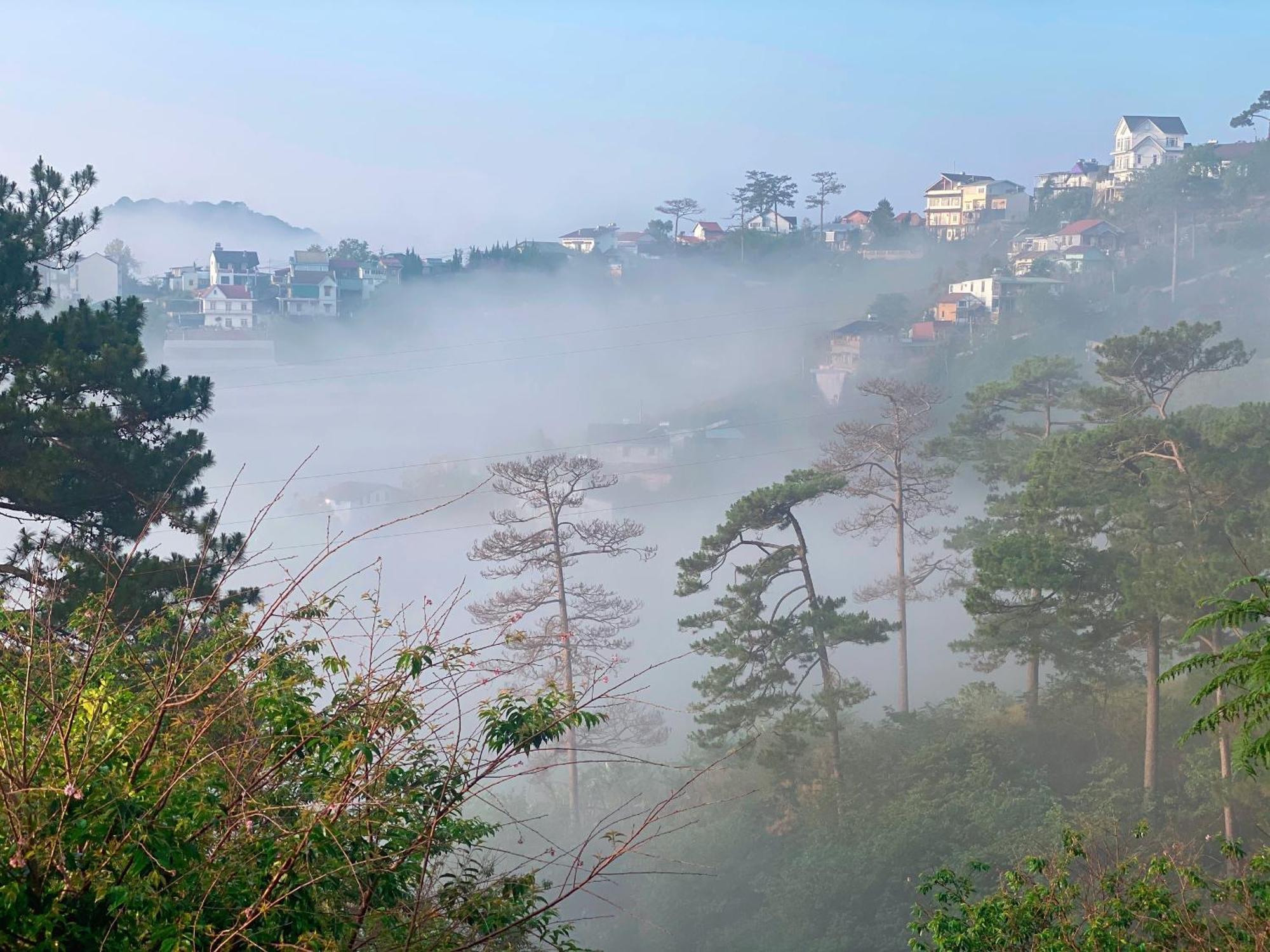 Dalat Memories Homestay - Pho Suong Mo 달랏 외부 사진