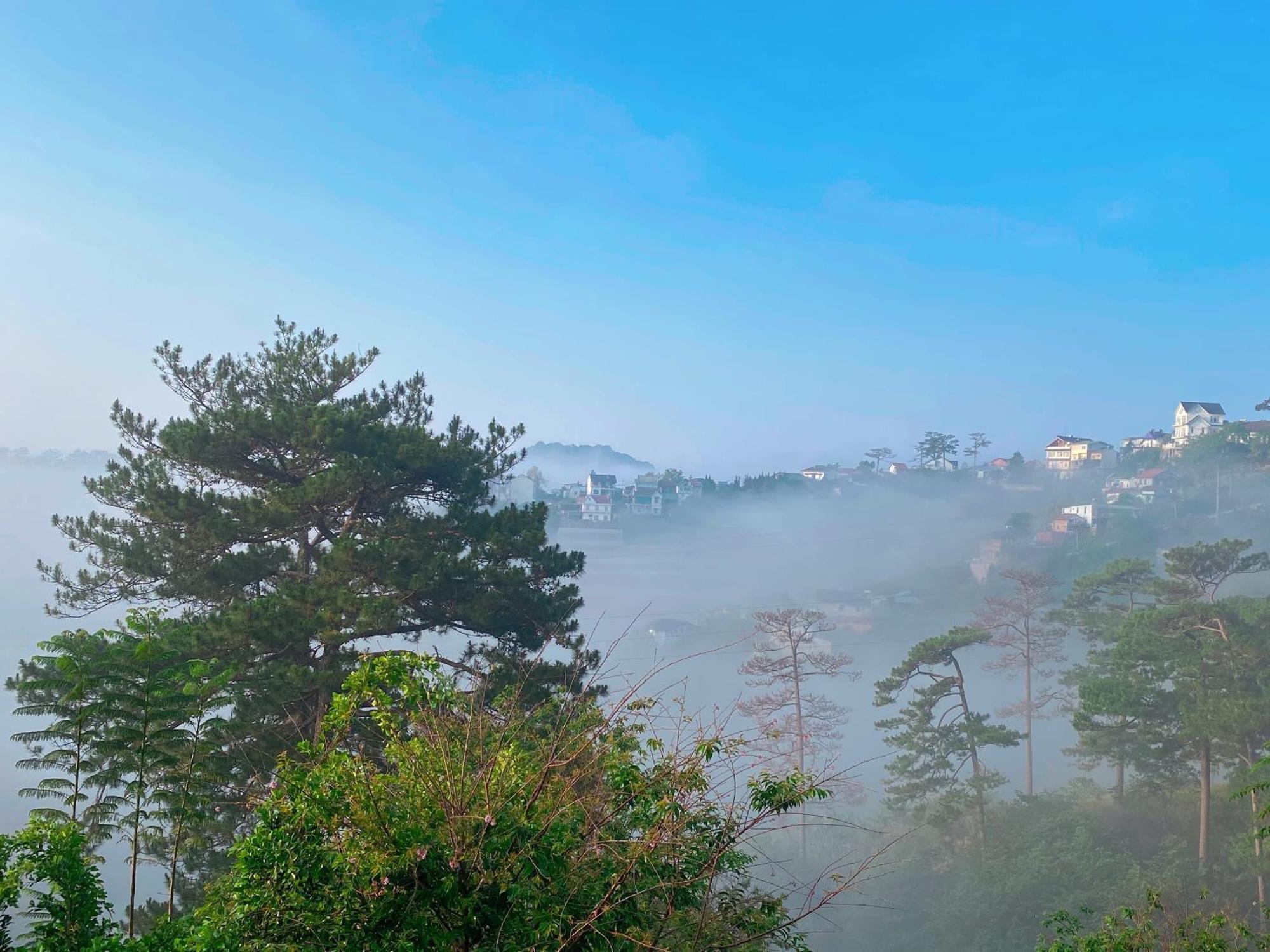 Dalat Memories Homestay - Pho Suong Mo 달랏 외부 사진