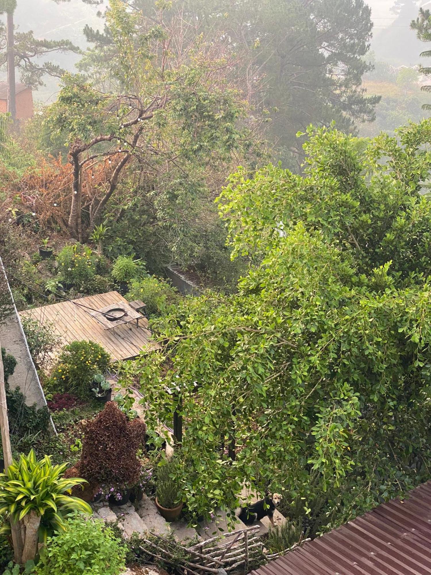 Dalat Memories Homestay - Pho Suong Mo 달랏 외부 사진