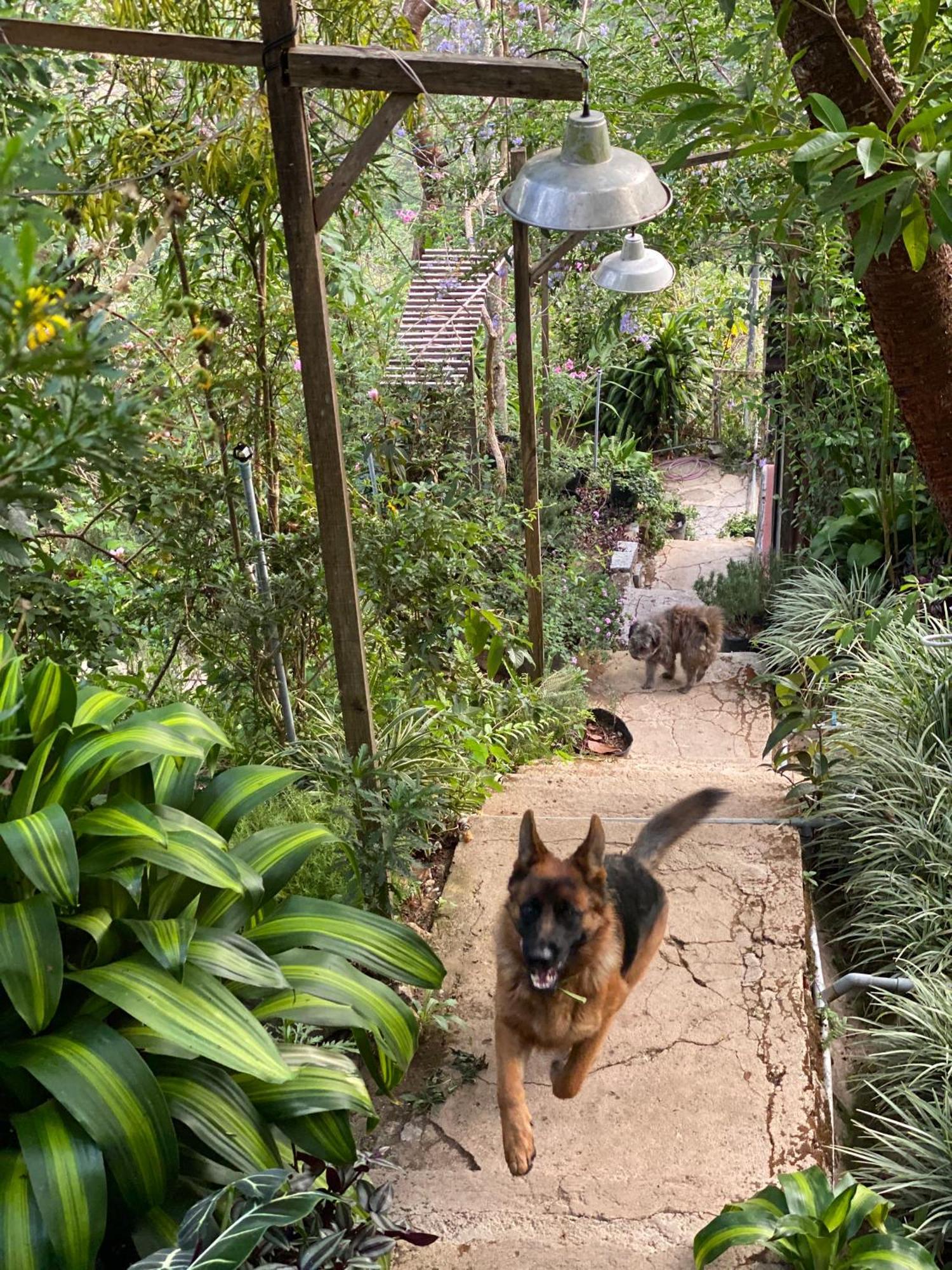 Dalat Memories Homestay - Pho Suong Mo 달랏 외부 사진